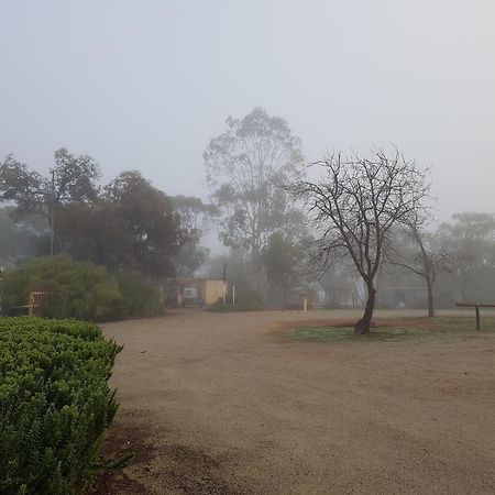 Pecan Hill Bnb Toodyay Kültér fotó