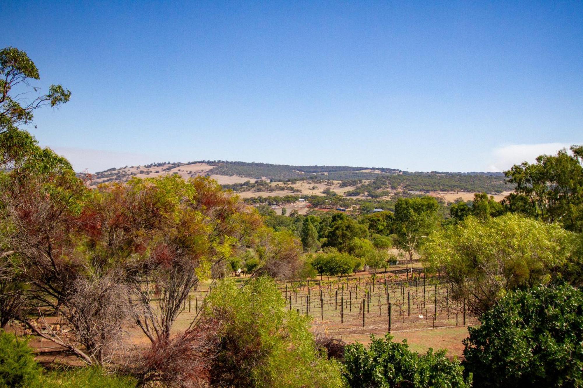 Pecan Hill Bnb Toodyay Kültér fotó