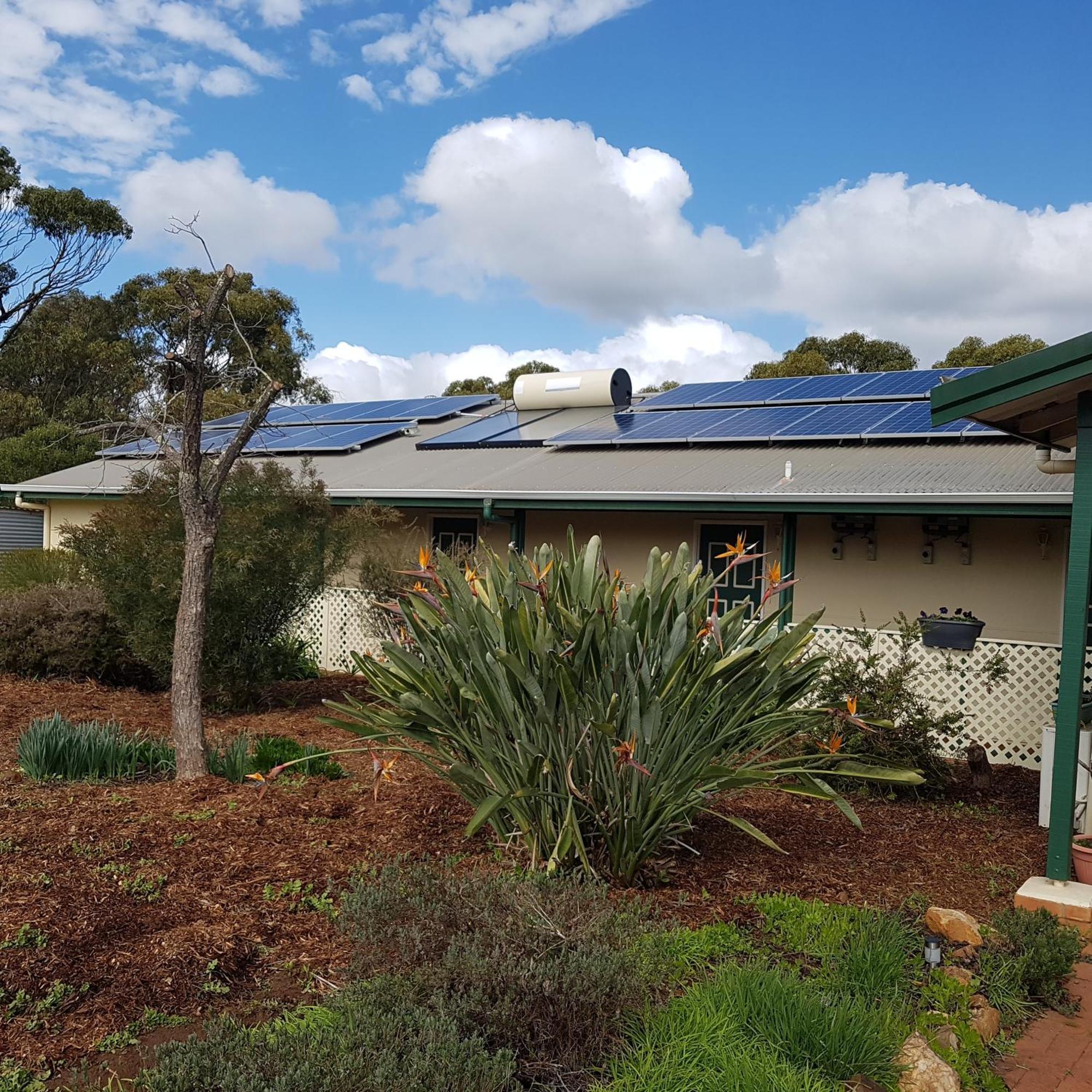 Pecan Hill Bnb Toodyay Kültér fotó